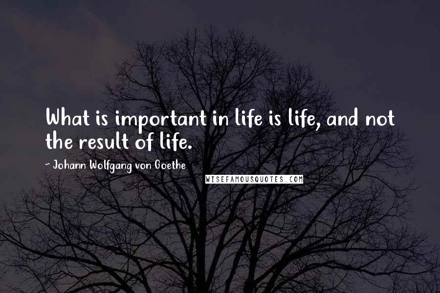 Johann Wolfgang Von Goethe Quotes: What is important in life is life, and not the result of life.