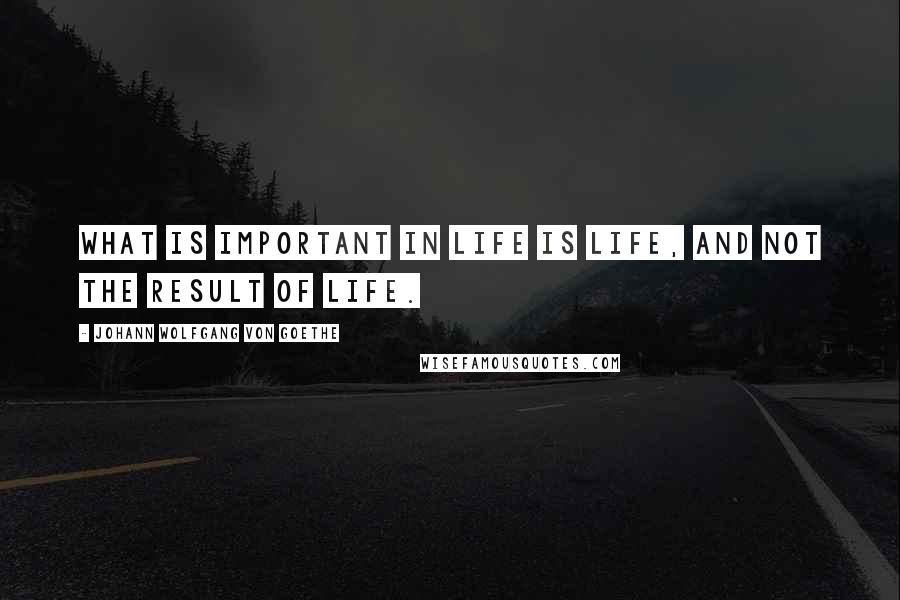Johann Wolfgang Von Goethe Quotes: What is important in life is life, and not the result of life.