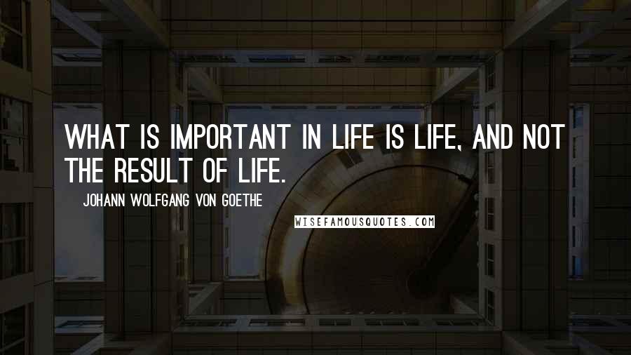 Johann Wolfgang Von Goethe Quotes: What is important in life is life, and not the result of life.