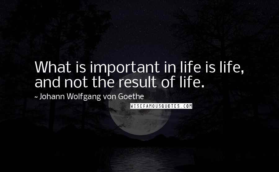 Johann Wolfgang Von Goethe Quotes: What is important in life is life, and not the result of life.