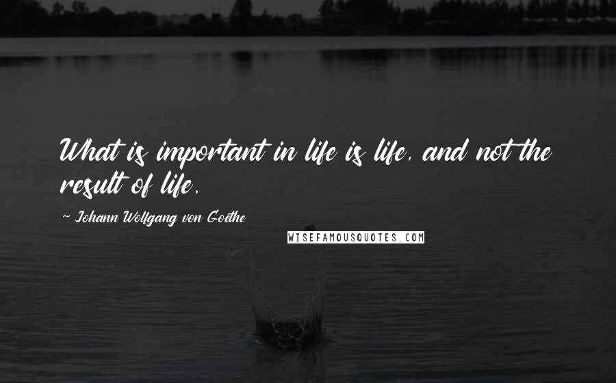 Johann Wolfgang Von Goethe Quotes: What is important in life is life, and not the result of life.