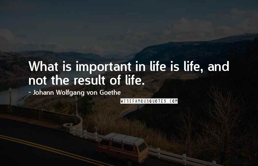 Johann Wolfgang Von Goethe Quotes: What is important in life is life, and not the result of life.