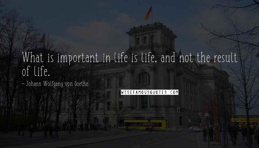Johann Wolfgang Von Goethe Quotes: What is important in life is life, and not the result of life.