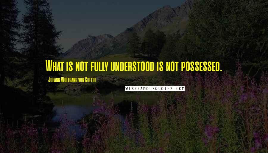 Johann Wolfgang Von Goethe Quotes: What is not fully understood is not possessed.