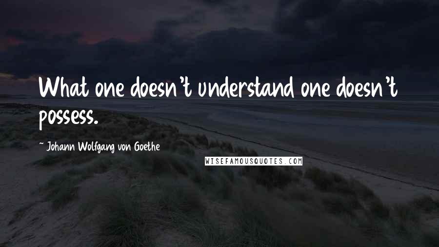 Johann Wolfgang Von Goethe Quotes: What one doesn't understand one doesn't possess.