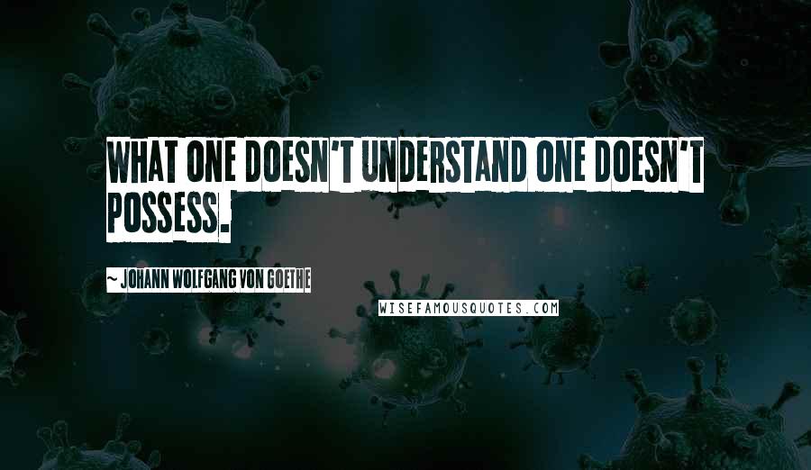 Johann Wolfgang Von Goethe Quotes: What one doesn't understand one doesn't possess.