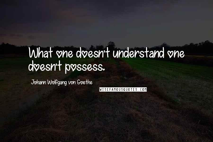 Johann Wolfgang Von Goethe Quotes: What one doesn't understand one doesn't possess.