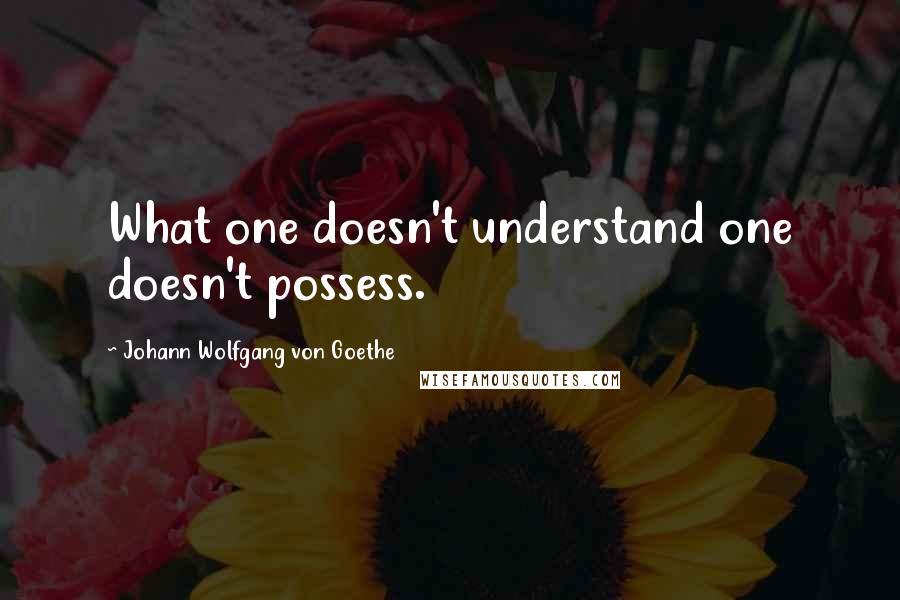 Johann Wolfgang Von Goethe Quotes: What one doesn't understand one doesn't possess.