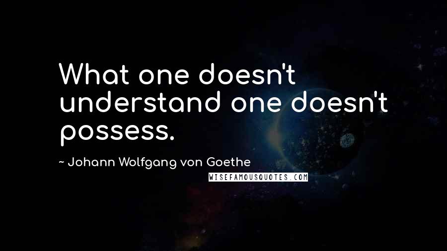 Johann Wolfgang Von Goethe Quotes: What one doesn't understand one doesn't possess.