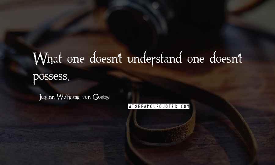 Johann Wolfgang Von Goethe Quotes: What one doesn't understand one doesn't possess.