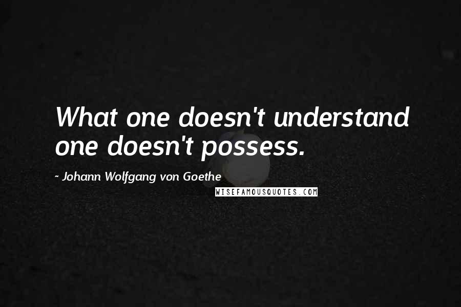 Johann Wolfgang Von Goethe Quotes: What one doesn't understand one doesn't possess.