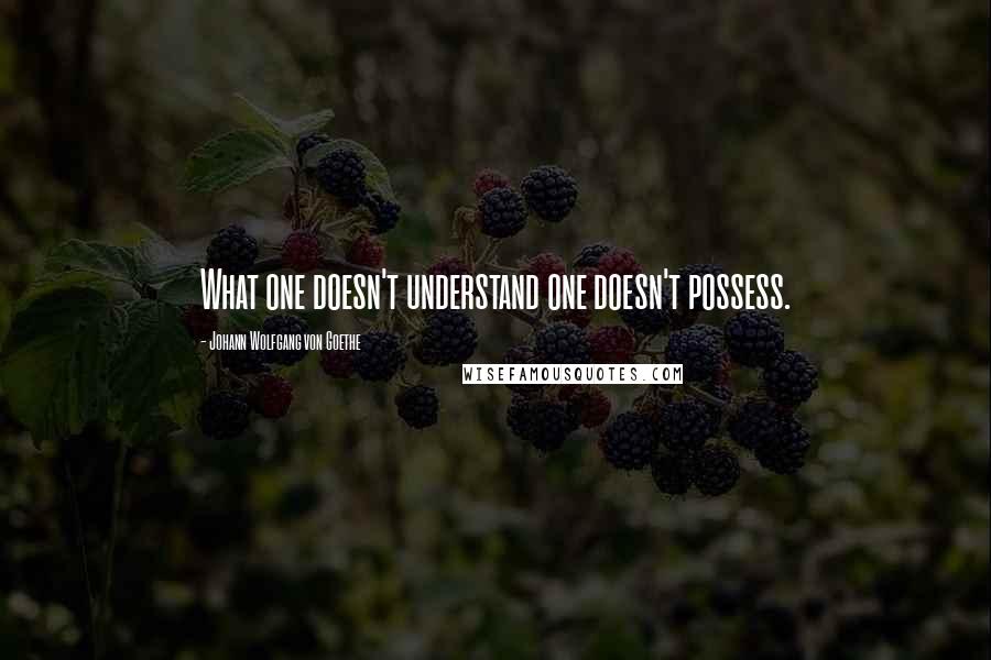 Johann Wolfgang Von Goethe Quotes: What one doesn't understand one doesn't possess.