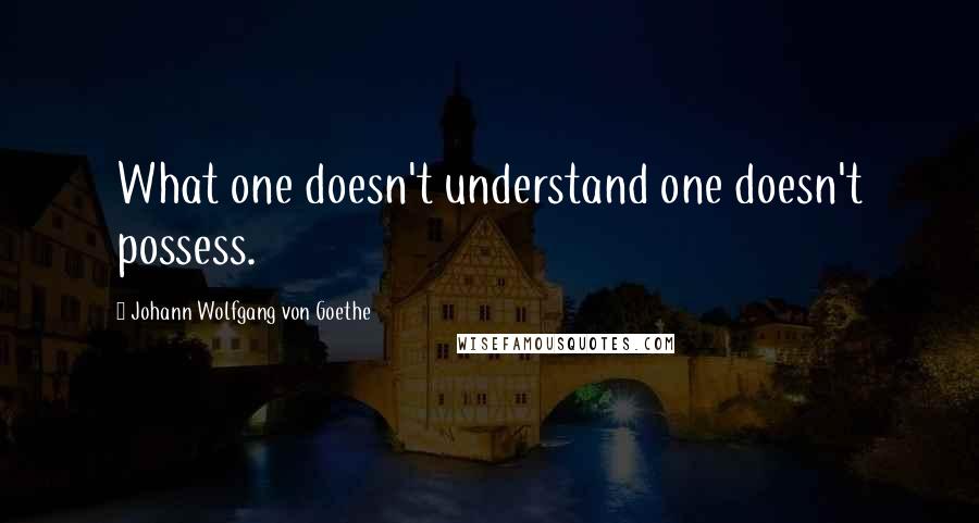 Johann Wolfgang Von Goethe Quotes: What one doesn't understand one doesn't possess.