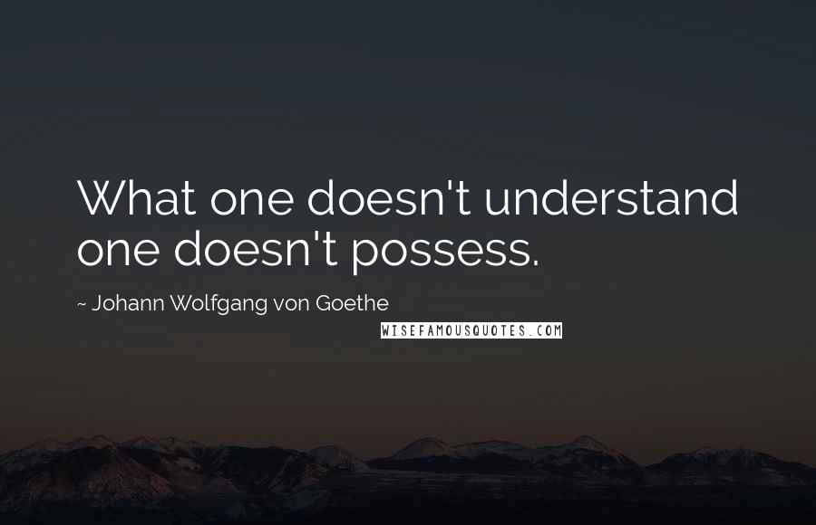 Johann Wolfgang Von Goethe Quotes: What one doesn't understand one doesn't possess.