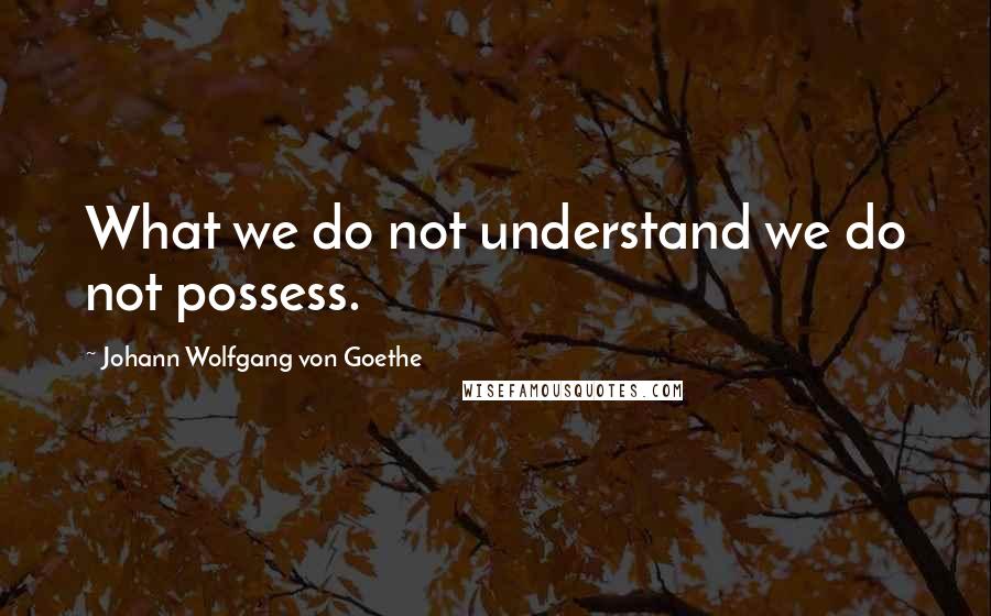 Johann Wolfgang Von Goethe Quotes: What we do not understand we do not possess.