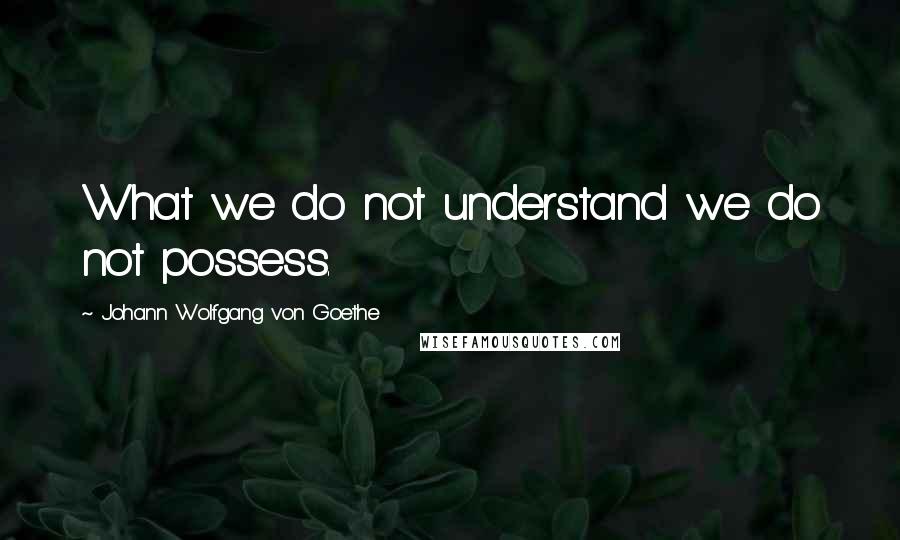 Johann Wolfgang Von Goethe Quotes: What we do not understand we do not possess.