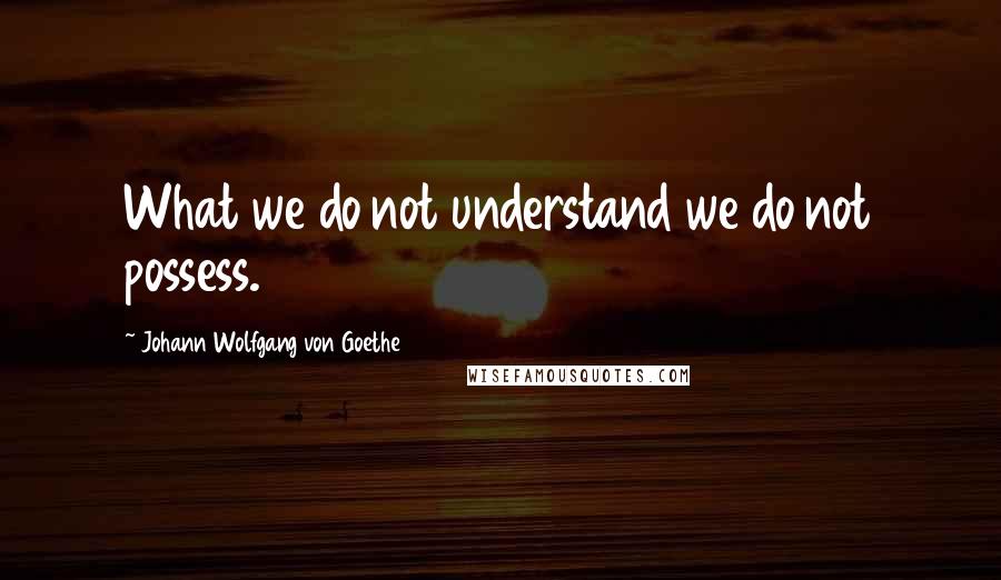 Johann Wolfgang Von Goethe Quotes: What we do not understand we do not possess.