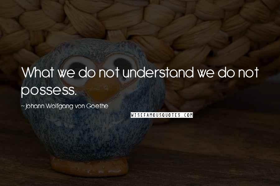 Johann Wolfgang Von Goethe Quotes: What we do not understand we do not possess.