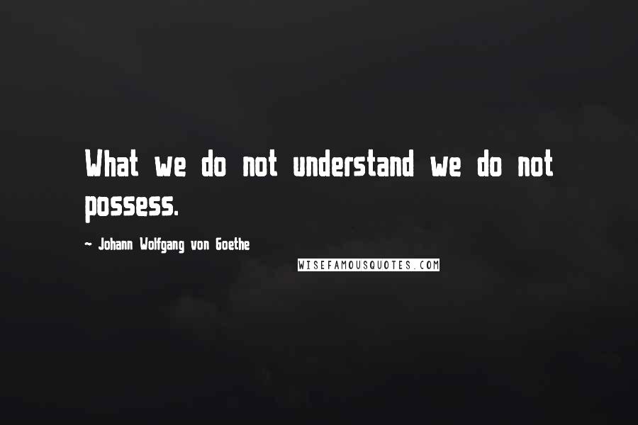 Johann Wolfgang Von Goethe Quotes: What we do not understand we do not possess.