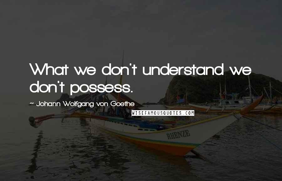 Johann Wolfgang Von Goethe Quotes: What we don't understand we don't possess.