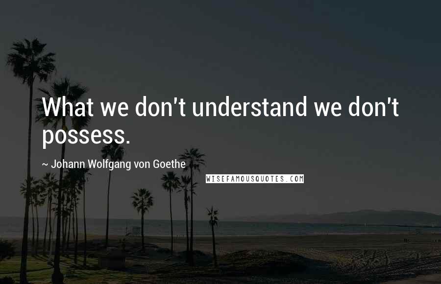 Johann Wolfgang Von Goethe Quotes: What we don't understand we don't possess.