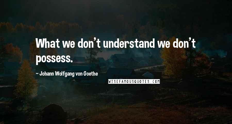 Johann Wolfgang Von Goethe Quotes: What we don't understand we don't possess.