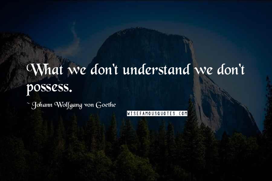 Johann Wolfgang Von Goethe Quotes: What we don't understand we don't possess.