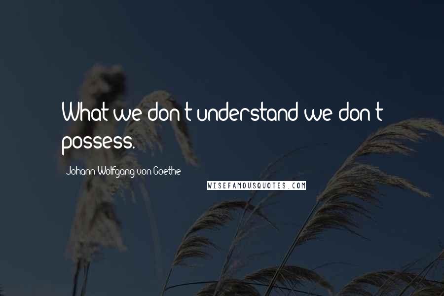 Johann Wolfgang Von Goethe Quotes: What we don't understand we don't possess.