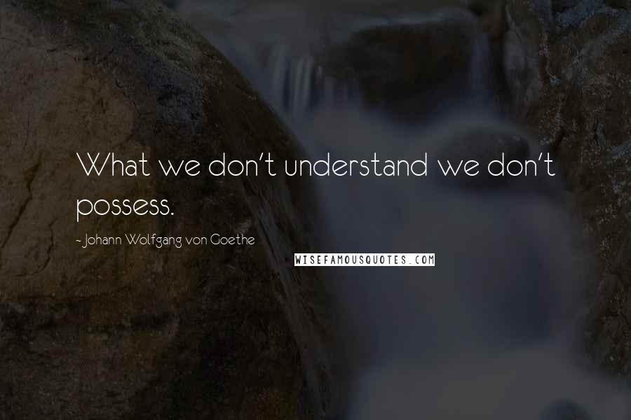 Johann Wolfgang Von Goethe Quotes: What we don't understand we don't possess.