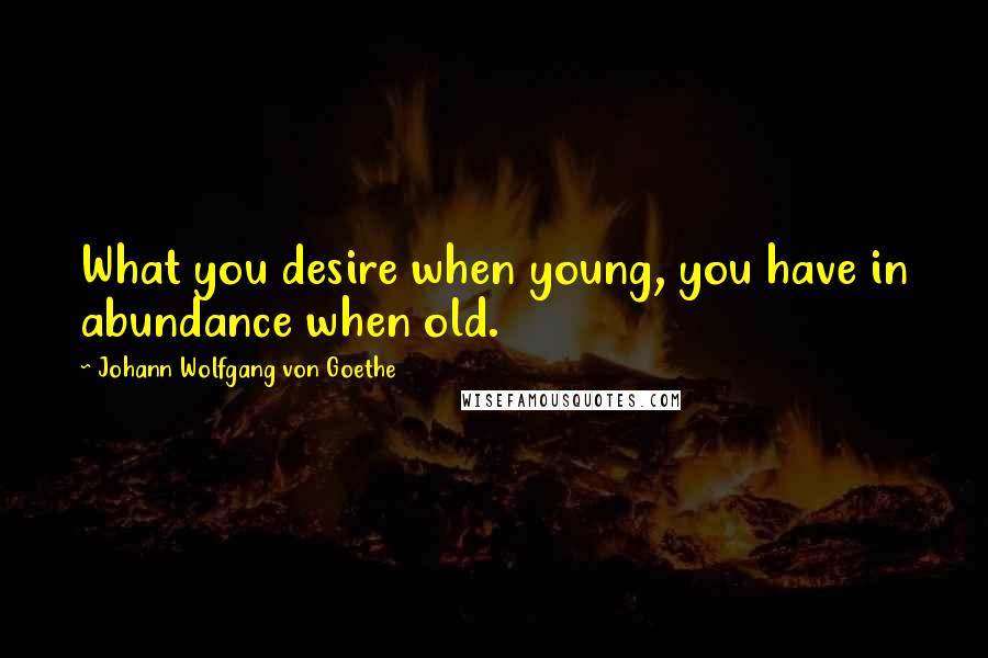 Johann Wolfgang Von Goethe Quotes: What you desire when young, you have in abundance when old.