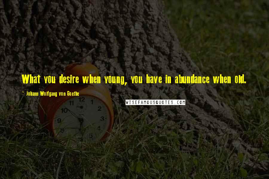 Johann Wolfgang Von Goethe Quotes: What you desire when young, you have in abundance when old.