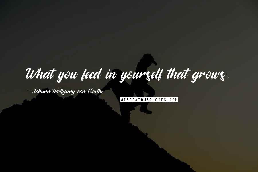 Johann Wolfgang Von Goethe Quotes: What you feed in yourself that grows.