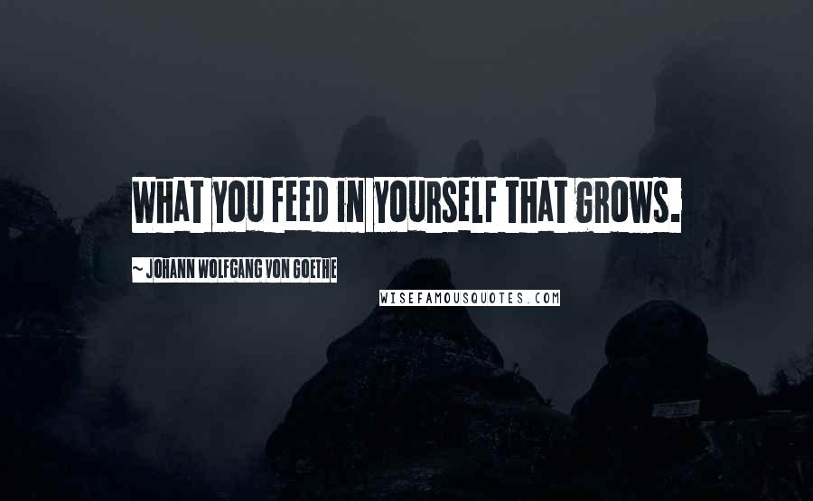 Johann Wolfgang Von Goethe Quotes: What you feed in yourself that grows.