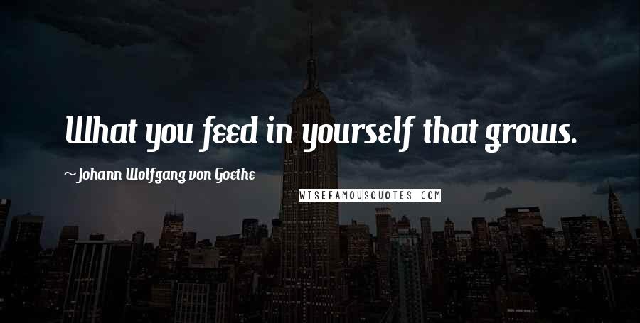 Johann Wolfgang Von Goethe Quotes: What you feed in yourself that grows.