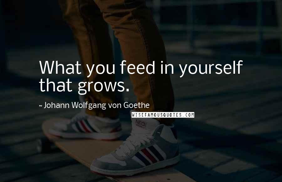 Johann Wolfgang Von Goethe Quotes: What you feed in yourself that grows.