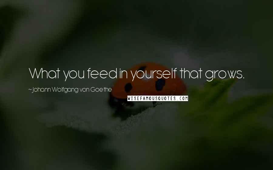 Johann Wolfgang Von Goethe Quotes: What you feed in yourself that grows.