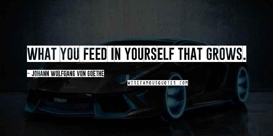 Johann Wolfgang Von Goethe Quotes: What you feed in yourself that grows.