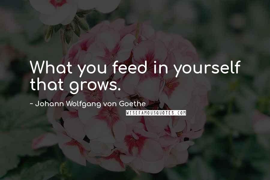 Johann Wolfgang Von Goethe Quotes: What you feed in yourself that grows.