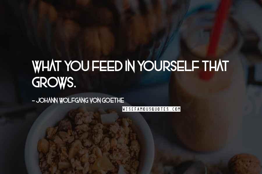 Johann Wolfgang Von Goethe Quotes: What you feed in yourself that grows.