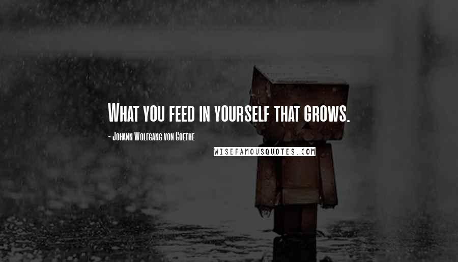 Johann Wolfgang Von Goethe Quotes: What you feed in yourself that grows.