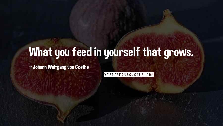 Johann Wolfgang Von Goethe Quotes: What you feed in yourself that grows.