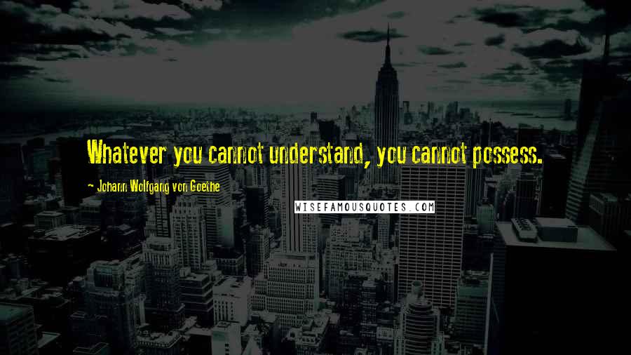 Johann Wolfgang Von Goethe Quotes: Whatever you cannot understand, you cannot possess.