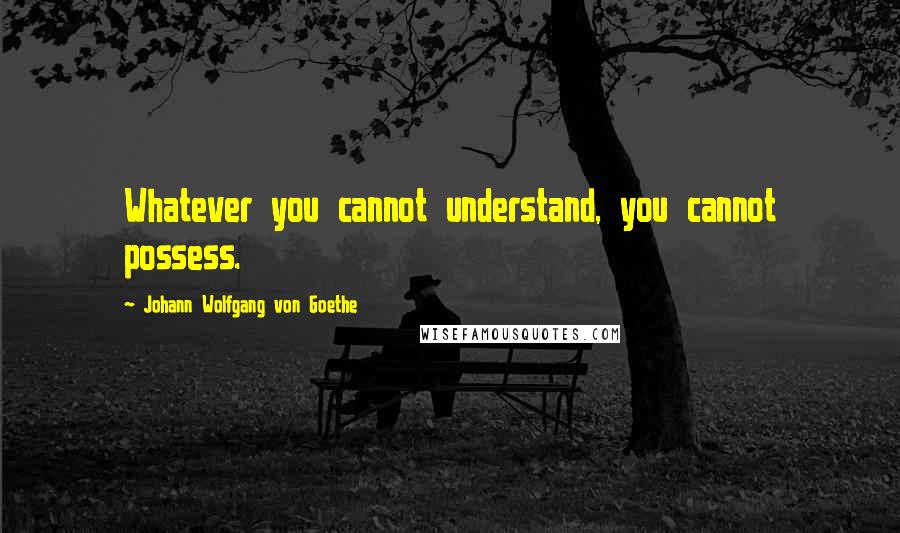 Johann Wolfgang Von Goethe Quotes: Whatever you cannot understand, you cannot possess.