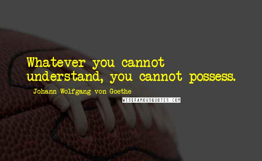 Johann Wolfgang Von Goethe Quotes: Whatever you cannot understand, you cannot possess.