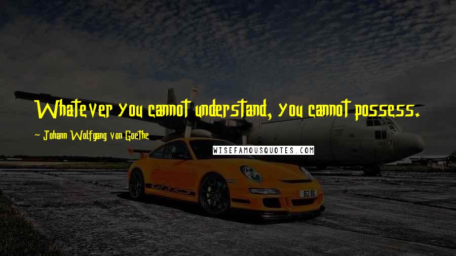 Johann Wolfgang Von Goethe Quotes: Whatever you cannot understand, you cannot possess.