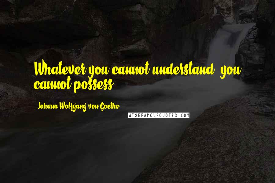Johann Wolfgang Von Goethe Quotes: Whatever you cannot understand, you cannot possess.