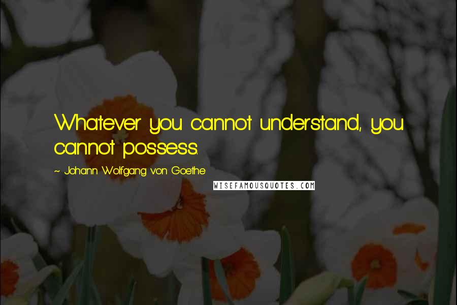 Johann Wolfgang Von Goethe Quotes: Whatever you cannot understand, you cannot possess.
