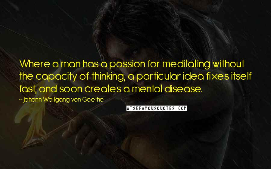 Johann Wolfgang Von Goethe Quotes: Where a man has a passion for meditating without the capacity of thinking, a particular idea fixes itself fast, and soon creates a mental disease.