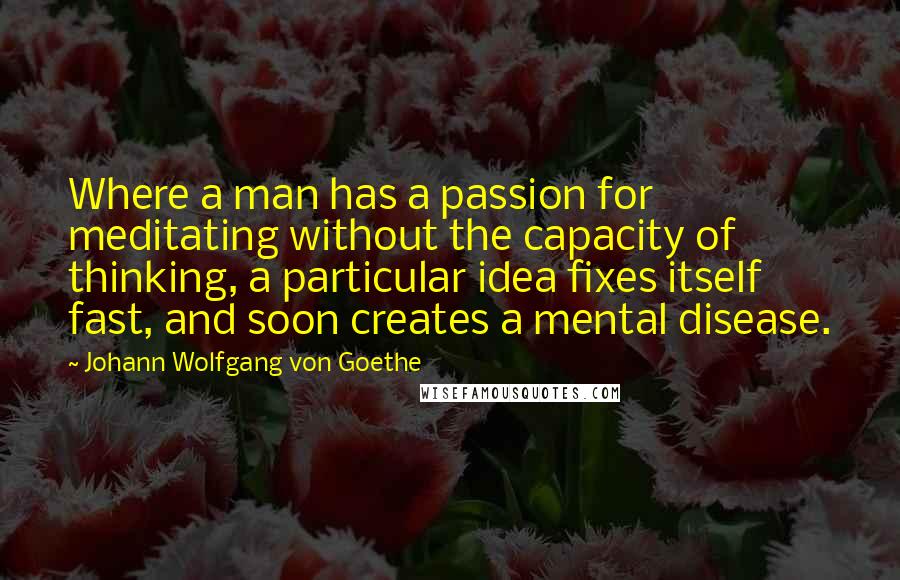 Johann Wolfgang Von Goethe Quotes: Where a man has a passion for meditating without the capacity of thinking, a particular idea fixes itself fast, and soon creates a mental disease.