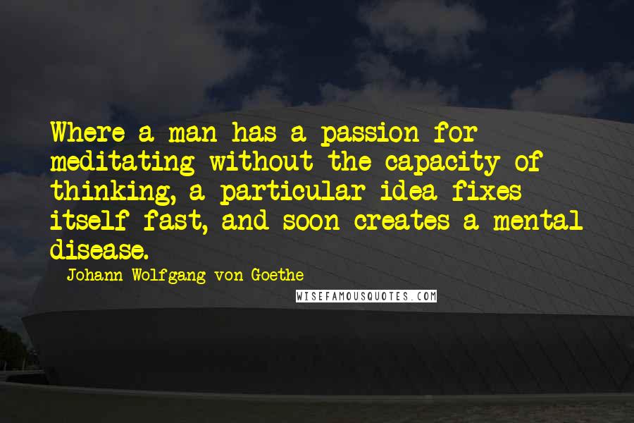 Johann Wolfgang Von Goethe Quotes: Where a man has a passion for meditating without the capacity of thinking, a particular idea fixes itself fast, and soon creates a mental disease.